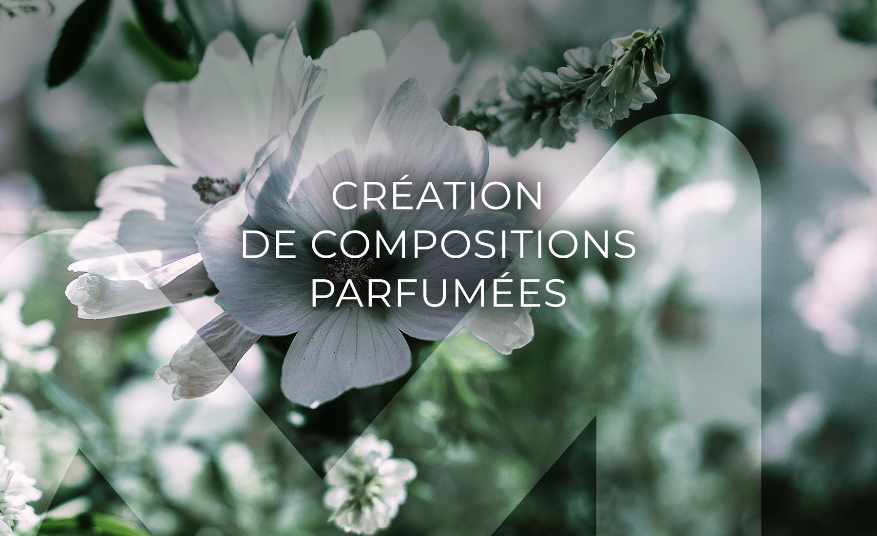 Cr&eacute;ation de compositions parfum&eacute;es pour la cosm&eacute;tique
